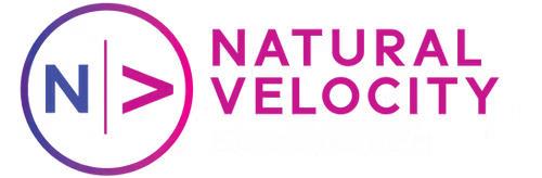 Natural Velocity logo representing ai group innovation in artificial intelligence automation across Australia artificial intelligence ecosystems.
